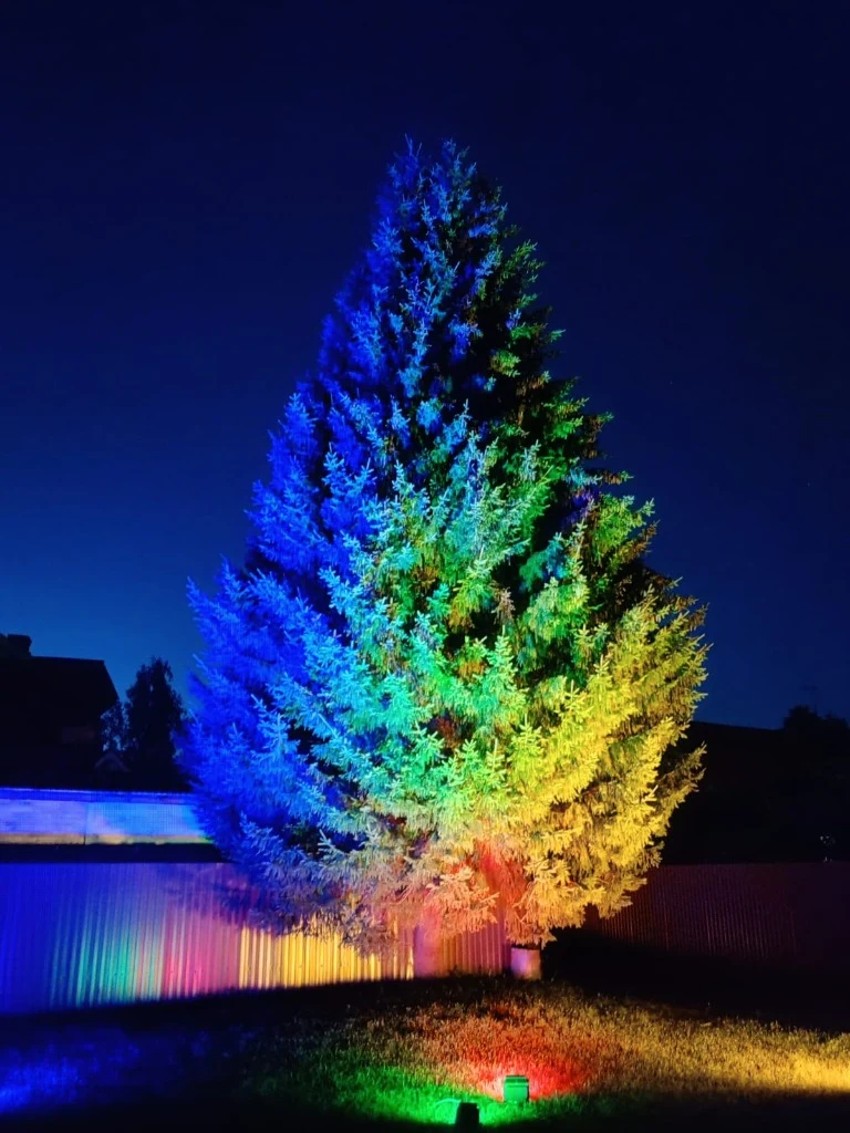 Ландшафтная цветная подсветка ели во дворе загородного дома: RGB-прожекторы с градиентным освещением кроны